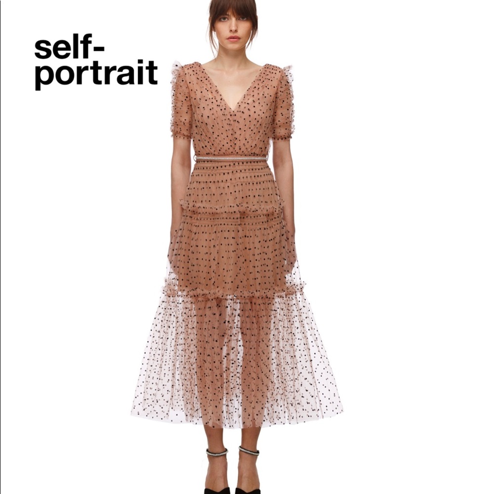 Self Portrait Dot Mesh Midi Dress